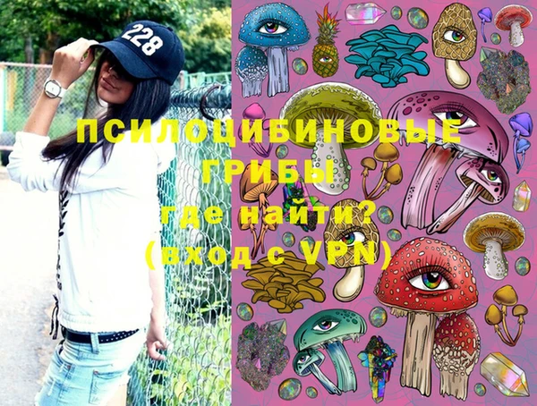 эйфоретик Снежногорск