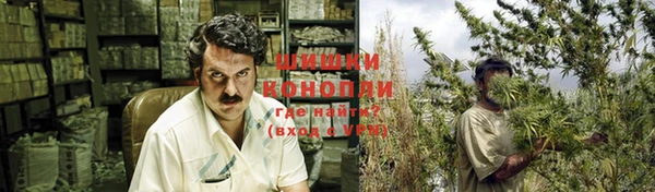 индика Снежинск